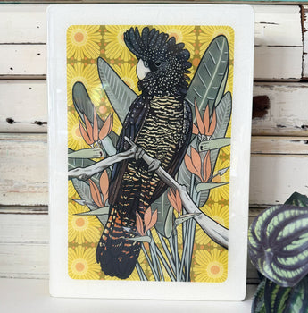 Maxi Woodblock - Red Tailed Black Cockatoo