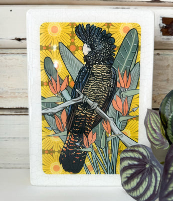 Medi Woodblock - Red Tailed Black Cockatoo