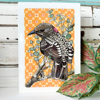 Maxi Woodblock - Western Bowerbird