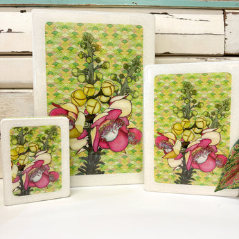 Mini Woodblock - Cannonball Tree