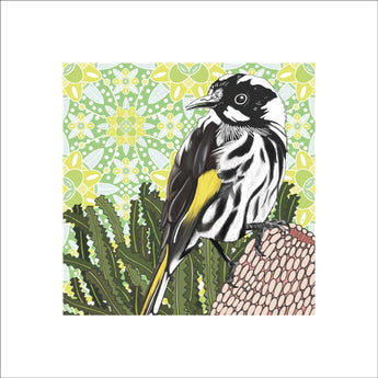 Meg's Honeyeater Art Print